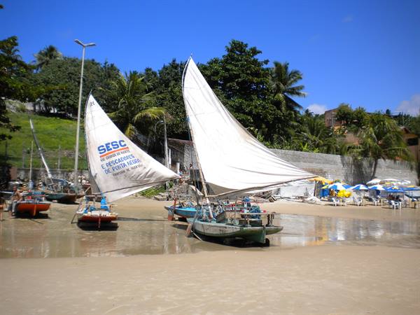White sailboats beached near palm trees and colorful beach umbrellas