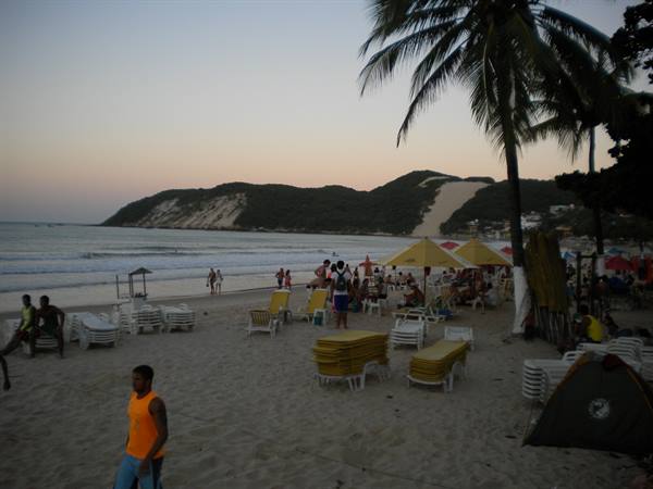 Beach with yellow umbrellas, white loungers and palm trees under evening sky