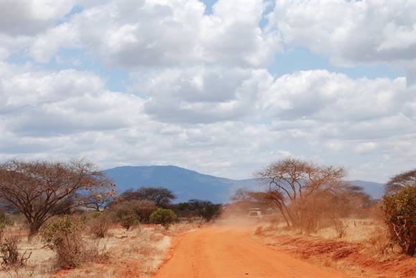 Red dirt road through acacia trees, car raising dust, mountains and white clouds