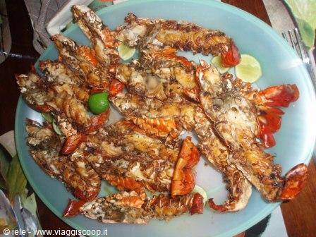 ...prawns and lobster...