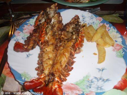 ...lobster...