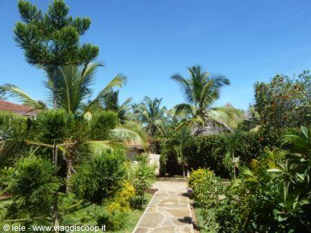 The garden