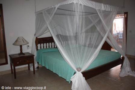 The room