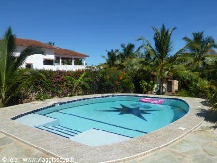 The pool