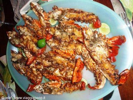 Lobsters