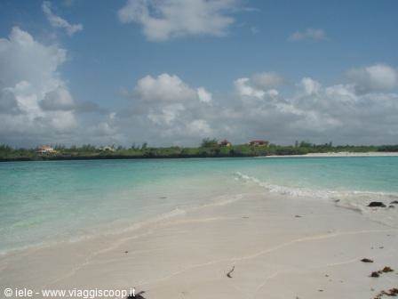 The island of love