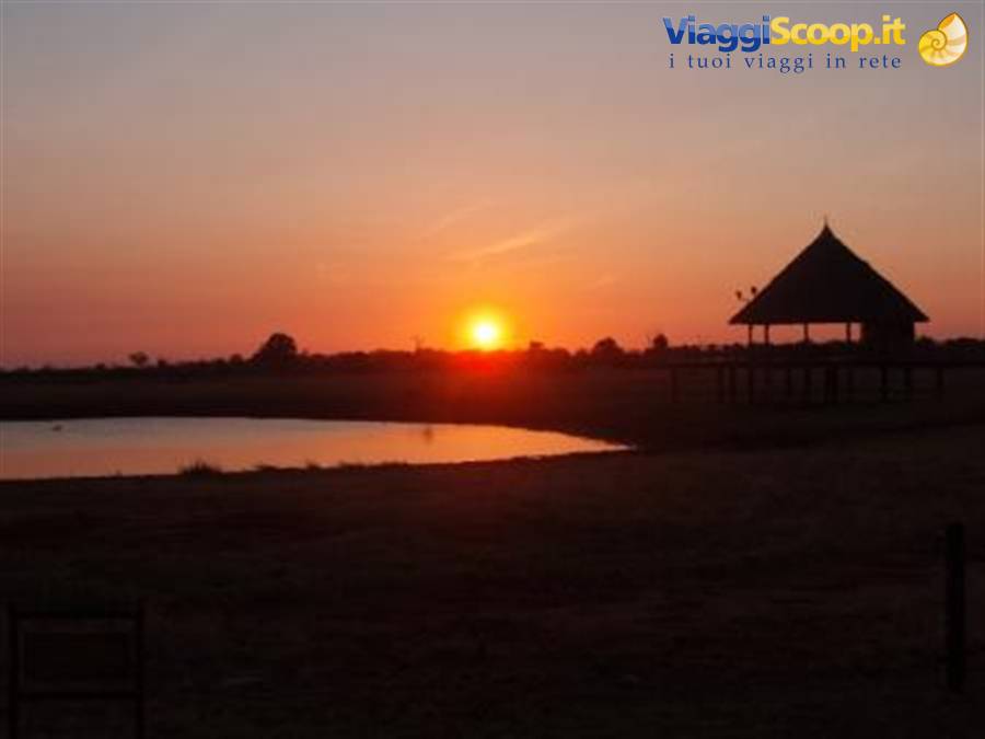 SUNSET IN THE SAVANNAH