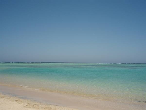 the sea