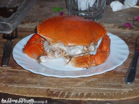 Robinson Island - and still eating