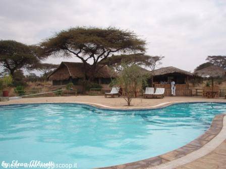 Amboseli - Kibo Camp, pool