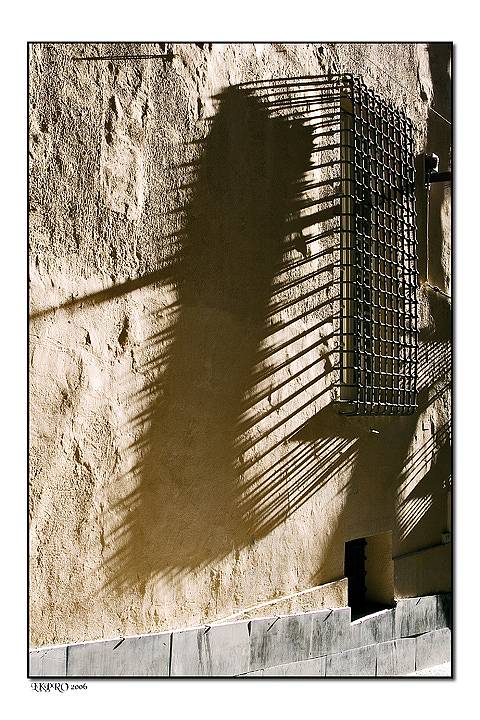 genoa glimpses