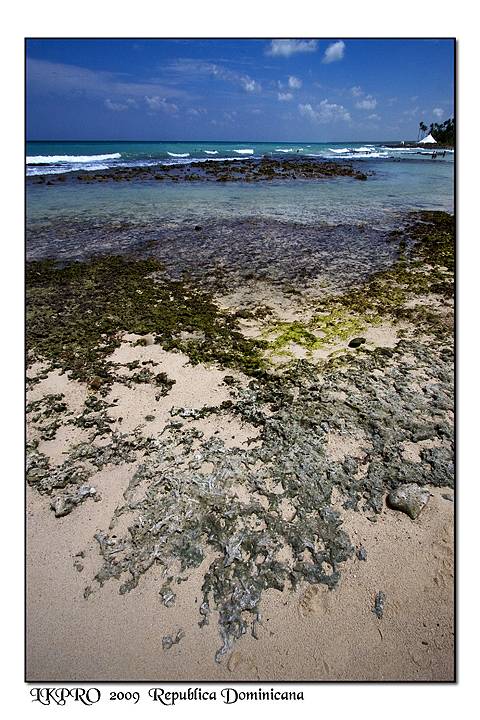 Dominican Republic