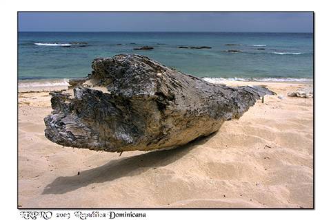 Dominican Republic