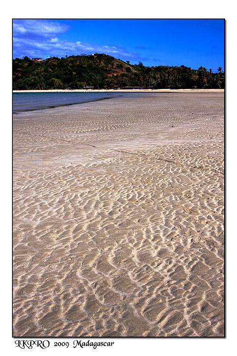  Details from Madagascar