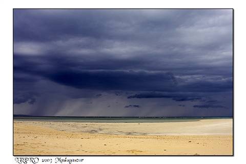  Details from Madagascar