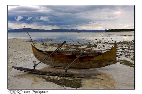  Details from Madagascar