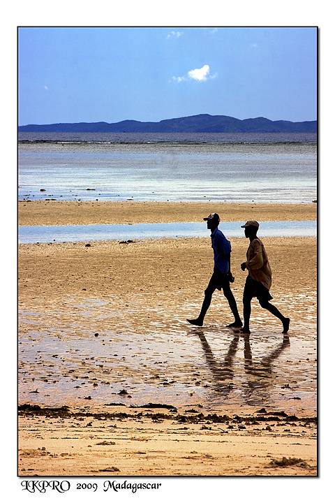  Details from Madagascar