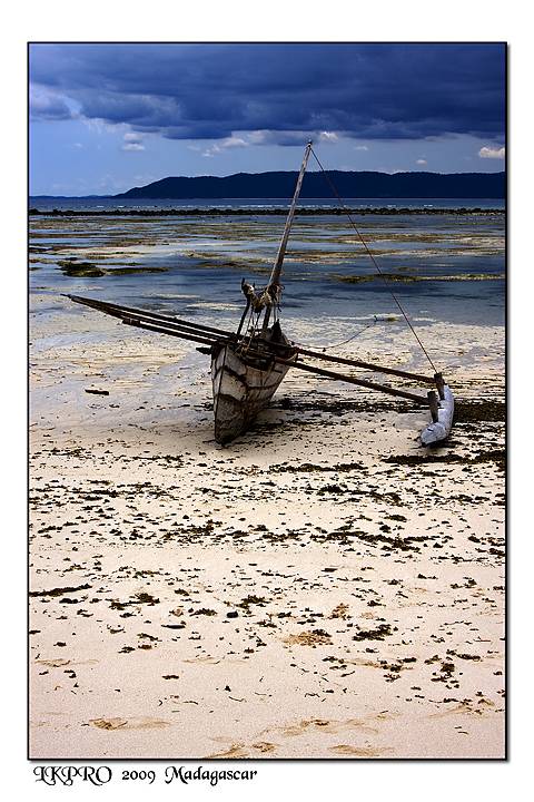  Details from Madagascar