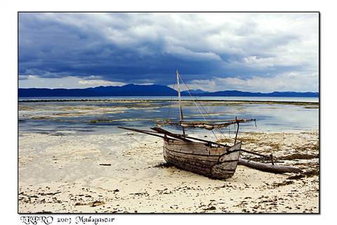  Details from Madagascar