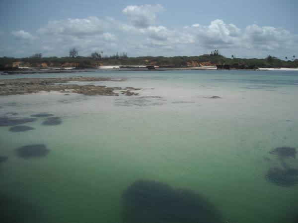 Clear green water with emerging rocks, white beach and palm trees on the coast