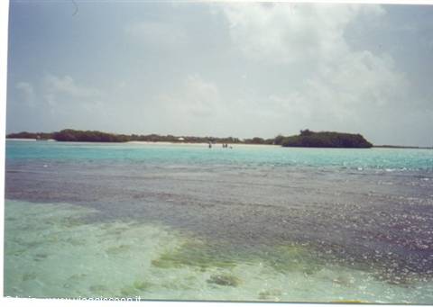Shallow turquoise water in front of green islet under cloudy sky