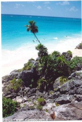 Palms on limestone rocks above white beach and turquoise sea with swimmers