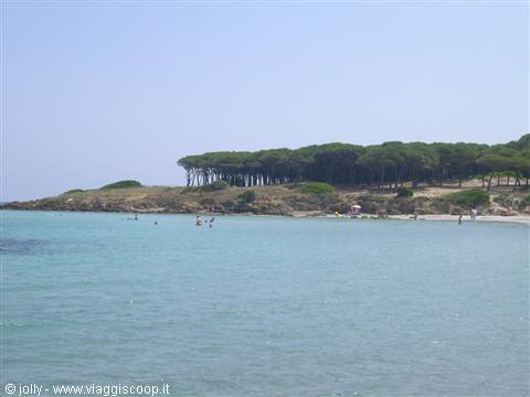 Panorama...