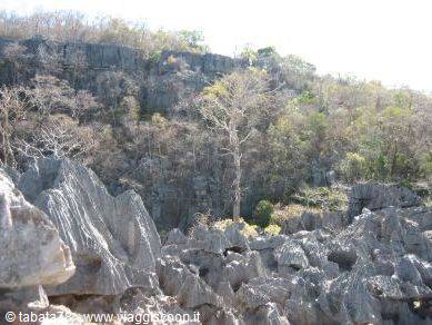 North tour - Ankarana Park, small Tsingy -