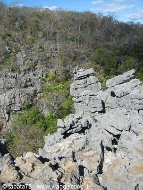 North tour - Ankarana Park, small Tsingy -