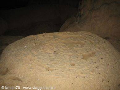 North tour - Ankarana Park, bat cave -