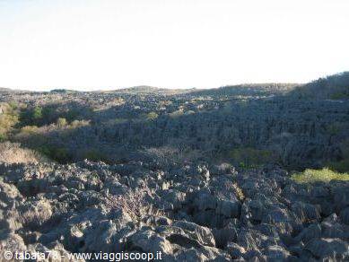 North tour - Ankarana Park, great Tsingy -