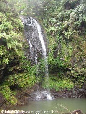 North tour - Amber Mountain, sacred waterfall -