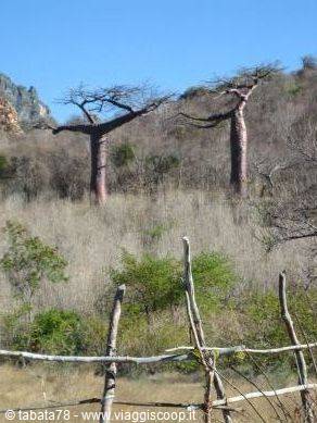 North tour - Diego Suarez -