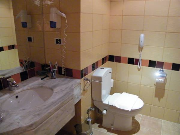 the bathroom of the standard room