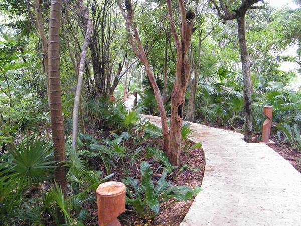 little avenues