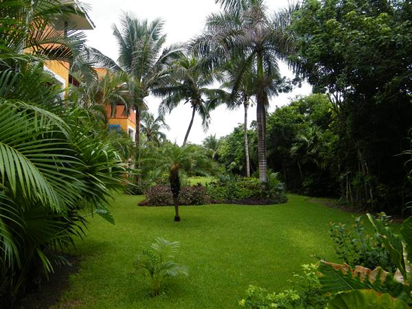 garden in front of room 2158