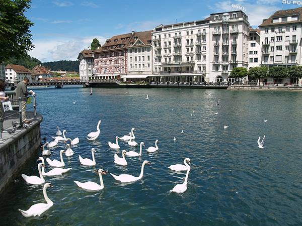 Lucerne