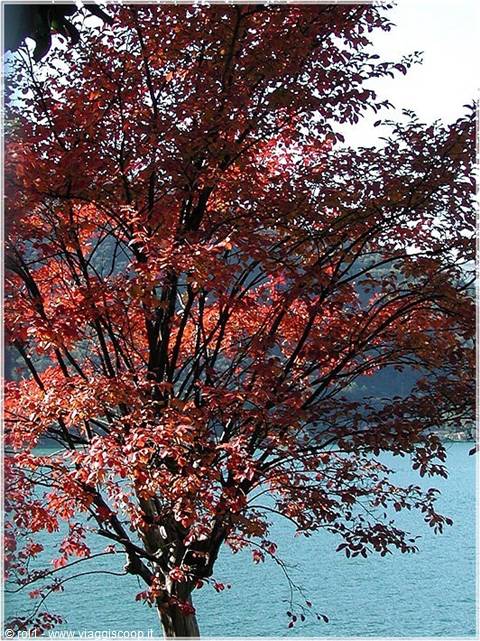 The colours of autumn