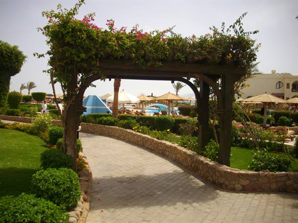 Little path