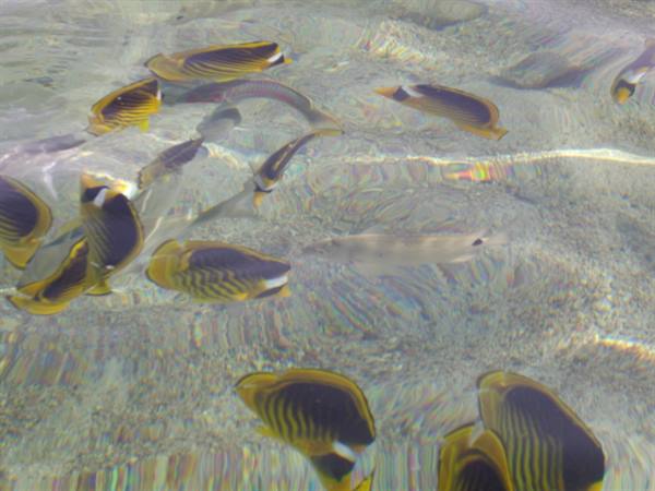 At the water's edge