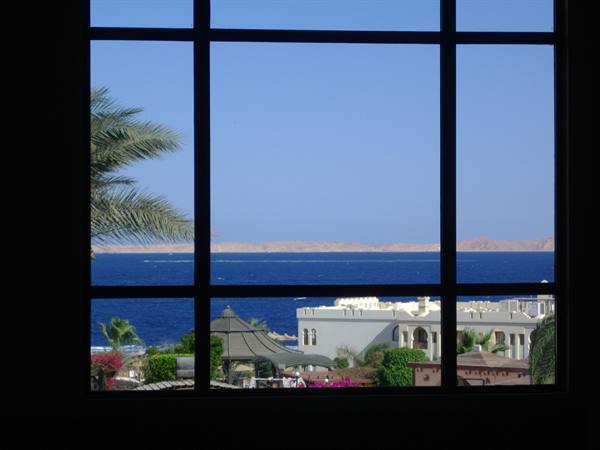 Through a dark window frame, palms and hotels overlook a blue sea