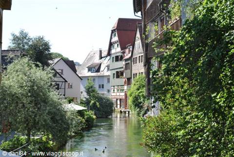 Ulm