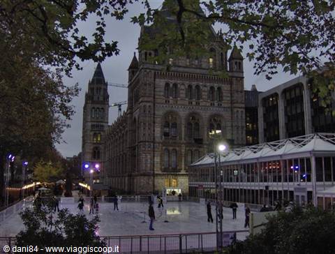 natural history museum