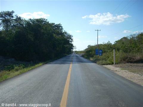 Empty asphalt road lined with trees and bushes, blue sky with clouds