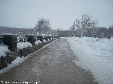 Snow-covered stone bridge with snowy balustrades and frozen trees