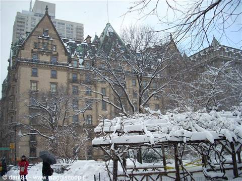 central park