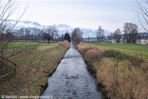 Water canal between grassy banks, duck swimming, snow-capped Alps in background