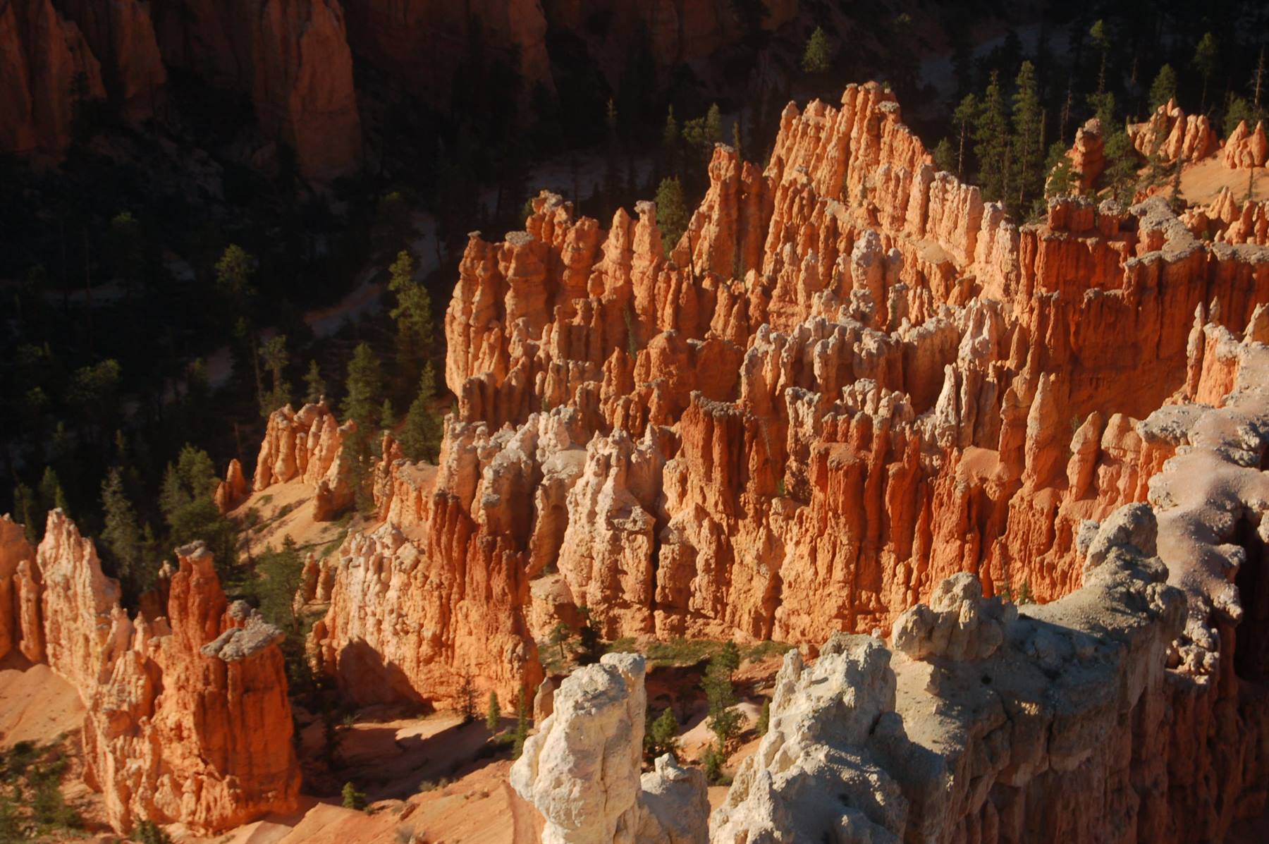 Bryce