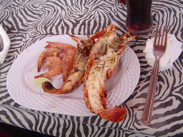 lunch on the boat returning from sardinia 2