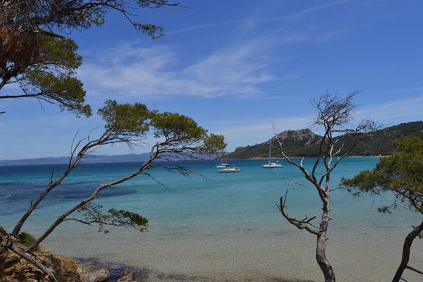 Ile de Porquerolles: unspoilt island